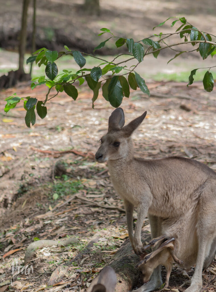 501Mirrorsandreflections-86-759x1024