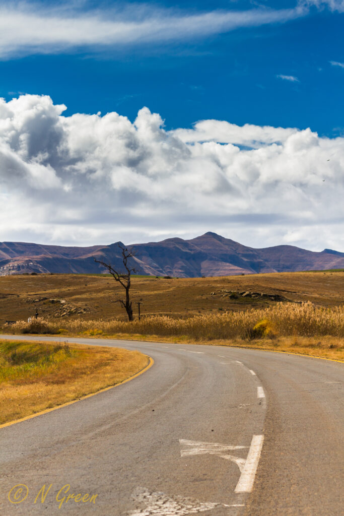 507Mirrorsandreflections-34-683x1024