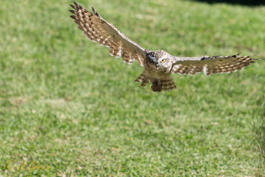 509Mirrorsandreflections-20-1024x683